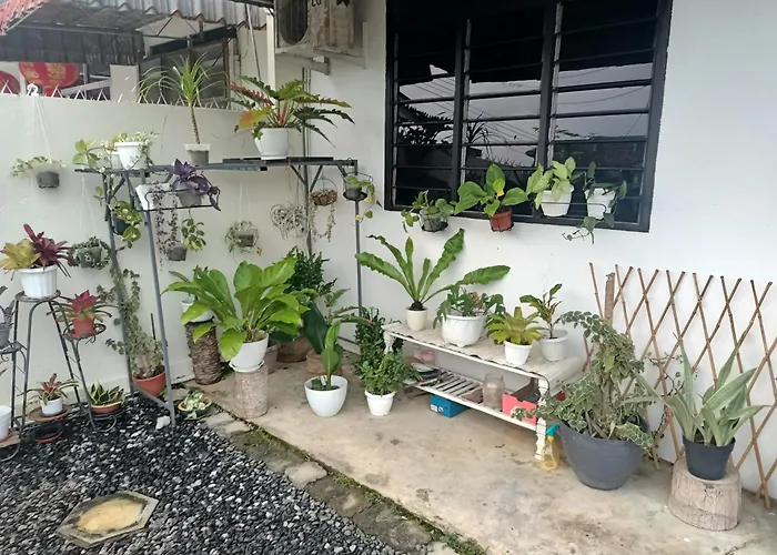 Summer Homestay@Civic Centre