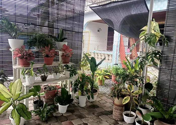 Summer Homestay@Civic Centre