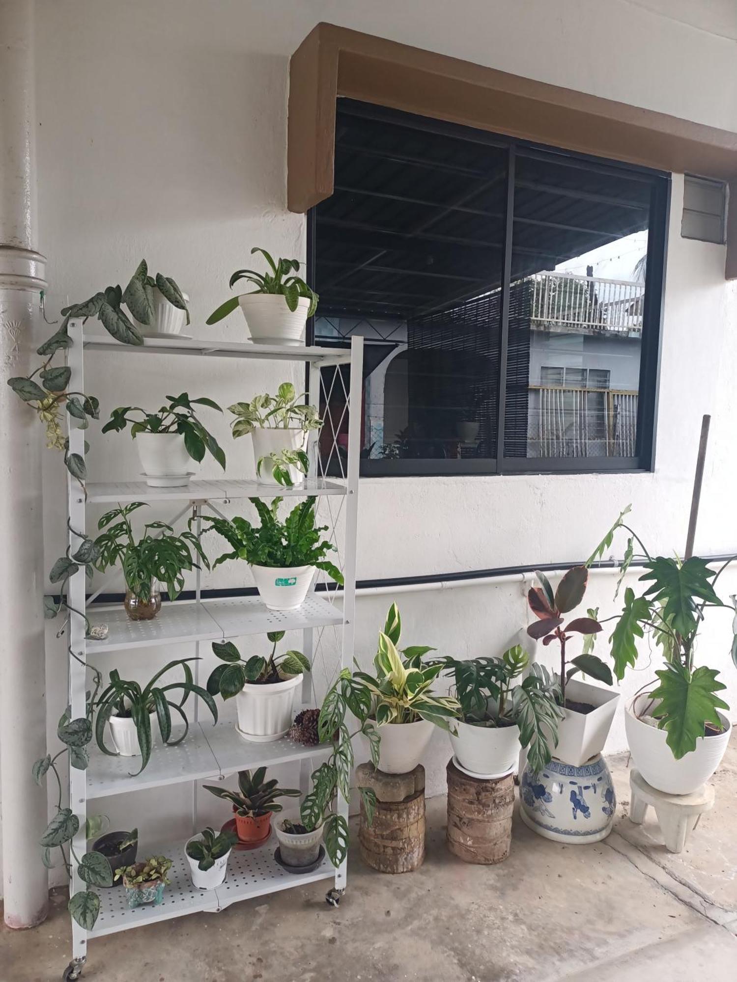 Summer Homestay@civic Centre Sibu