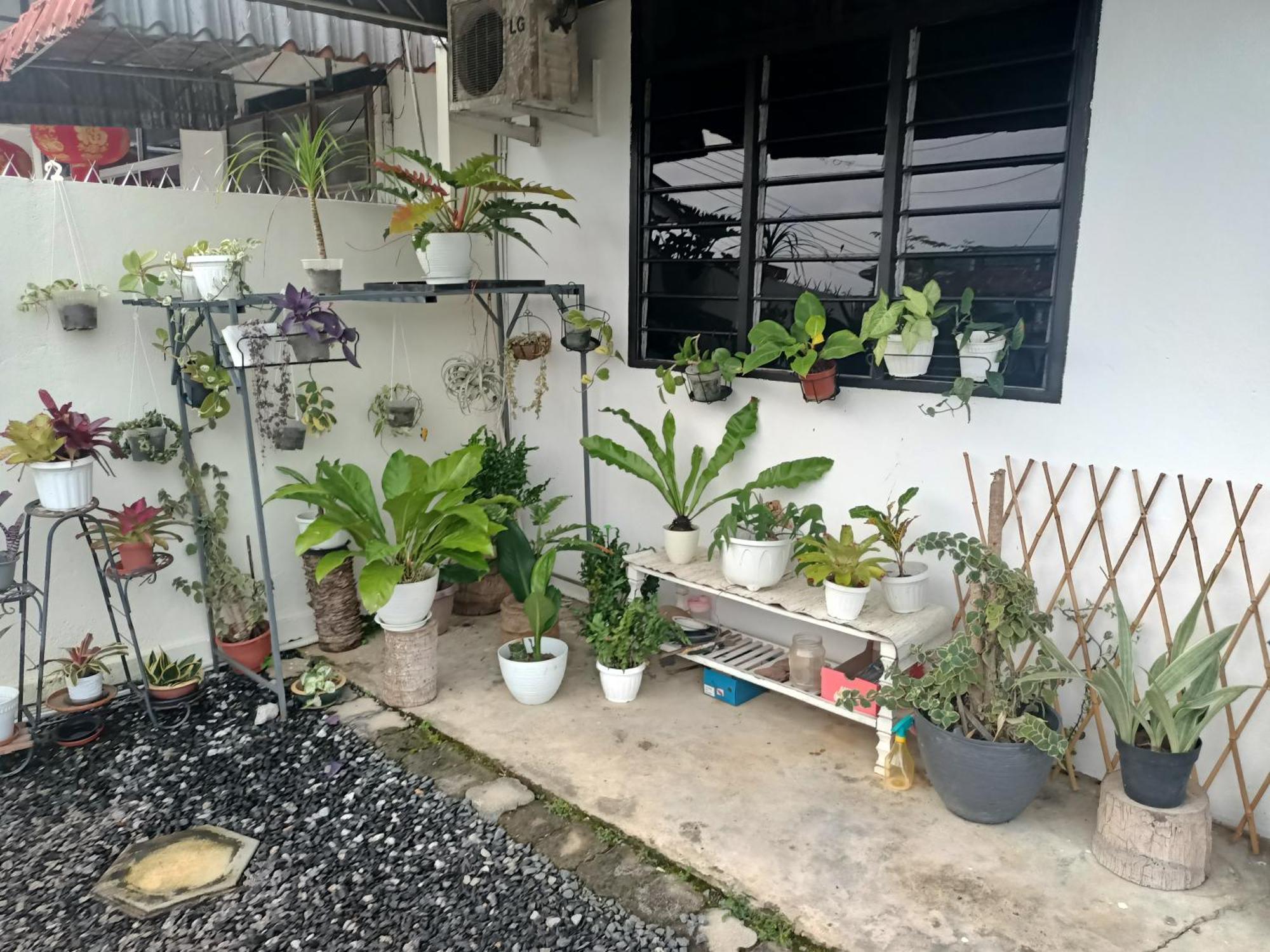 Summer Homestay@civic Centre * Sibu