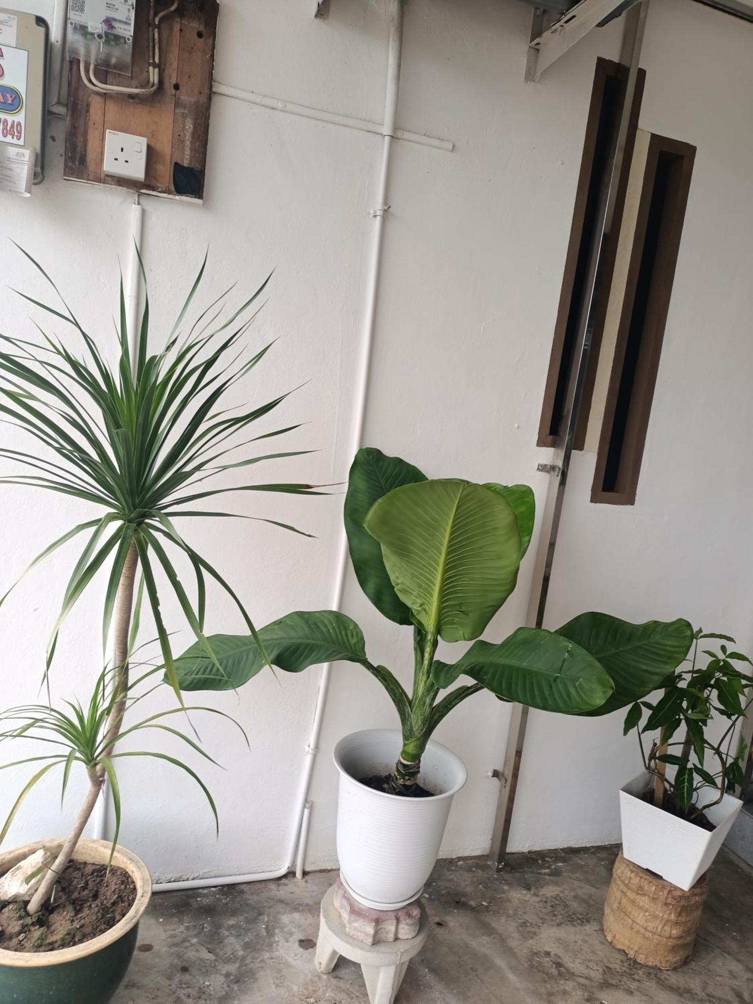 Summer Homestay@civic Centre Holiday home Sibu