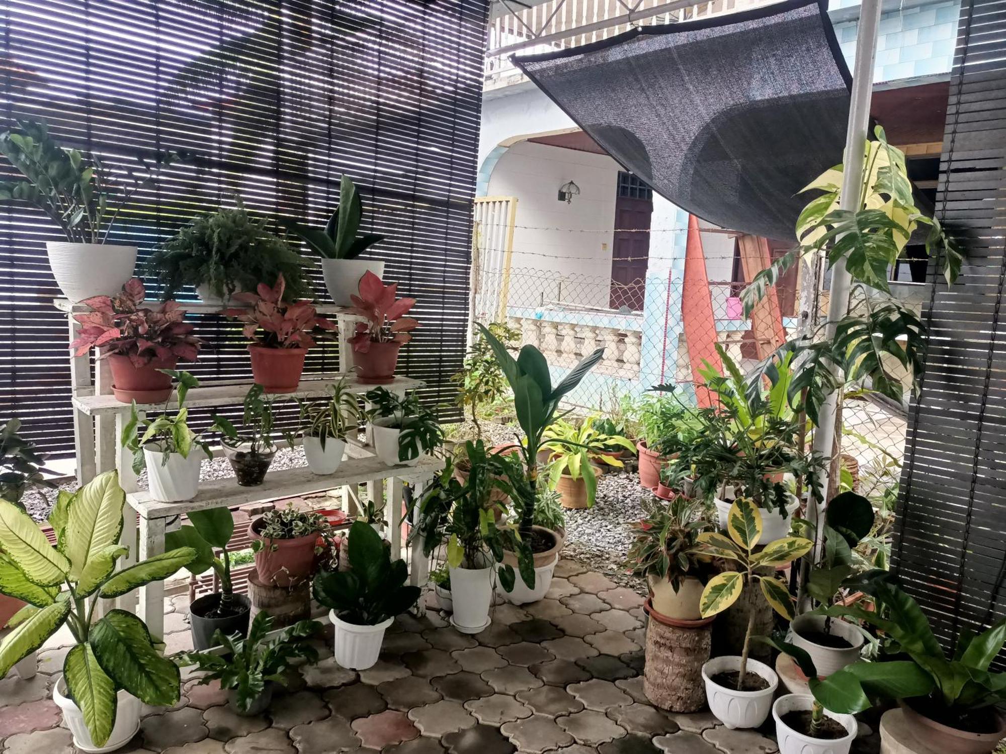Holiday home Summer Homestay@civic Centre Sibu